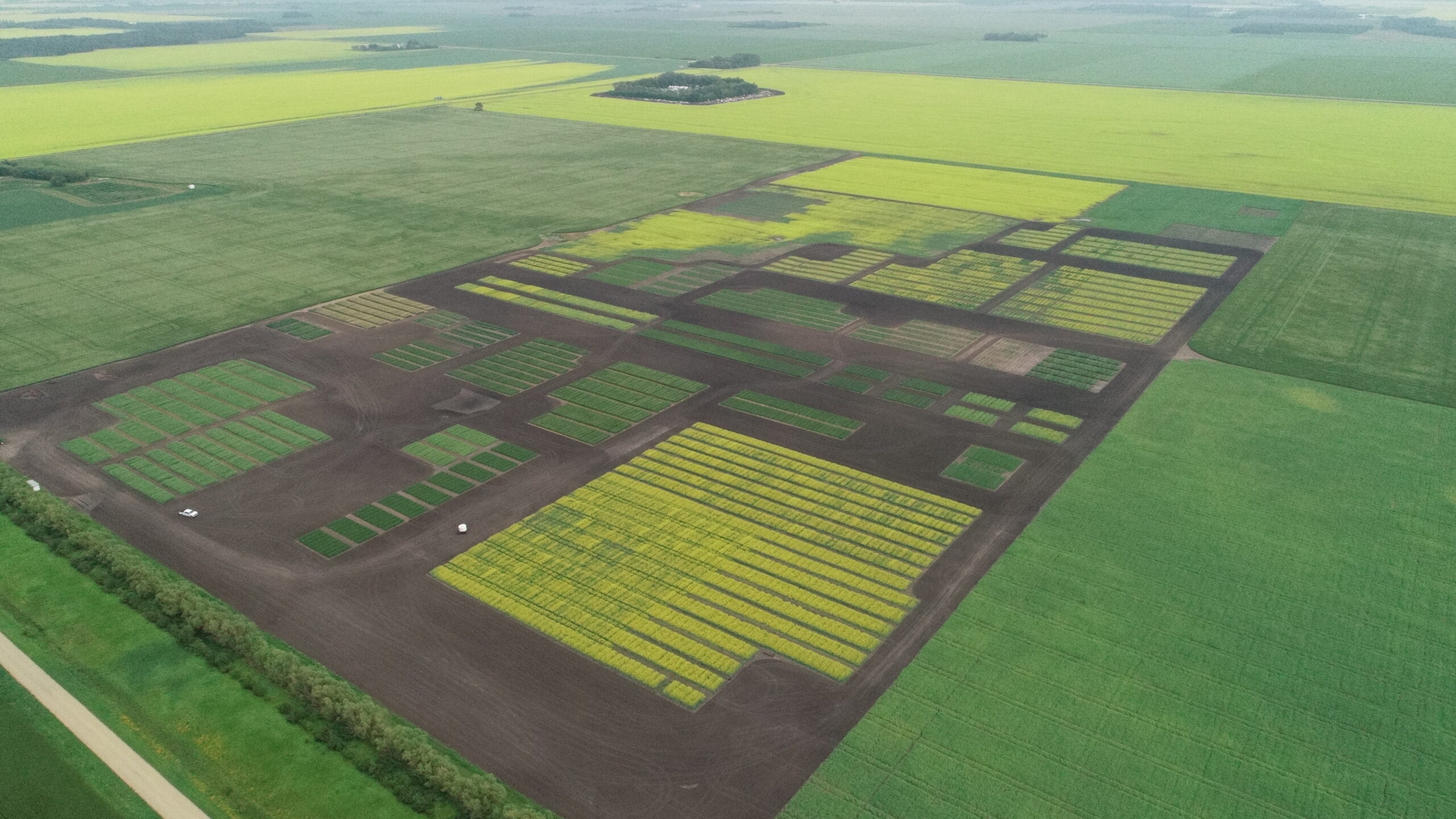 DCIM100MEDIADJI_0023.JPG Research Crew